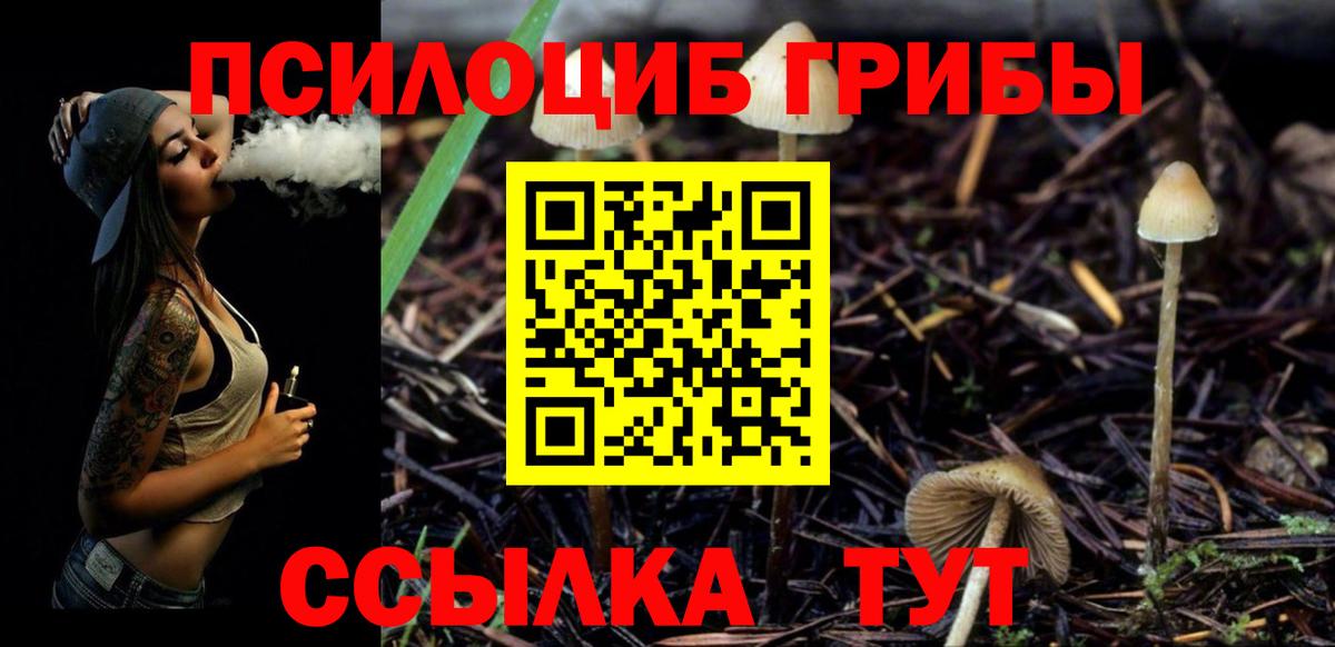 Псилоцибиновые грибы MAGIC MUSHROOMS Еманжелинск