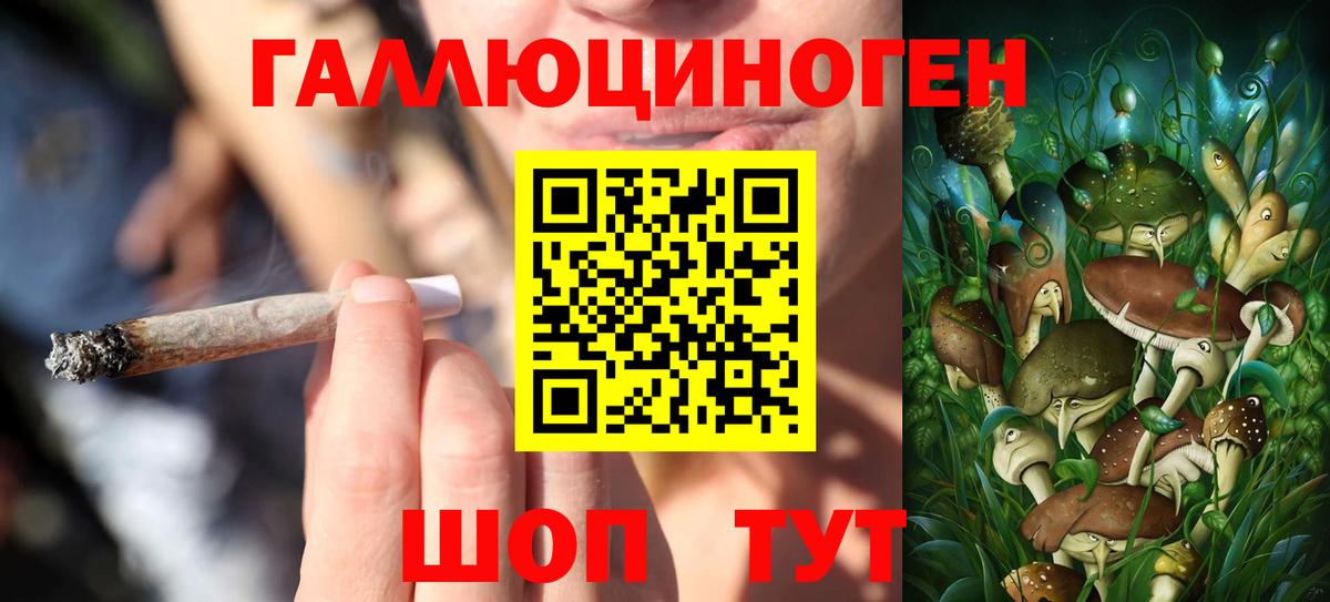 Псилоцибиновые грибы Psilocybine cubensis  Вход с VPN  Еманжелинск 
